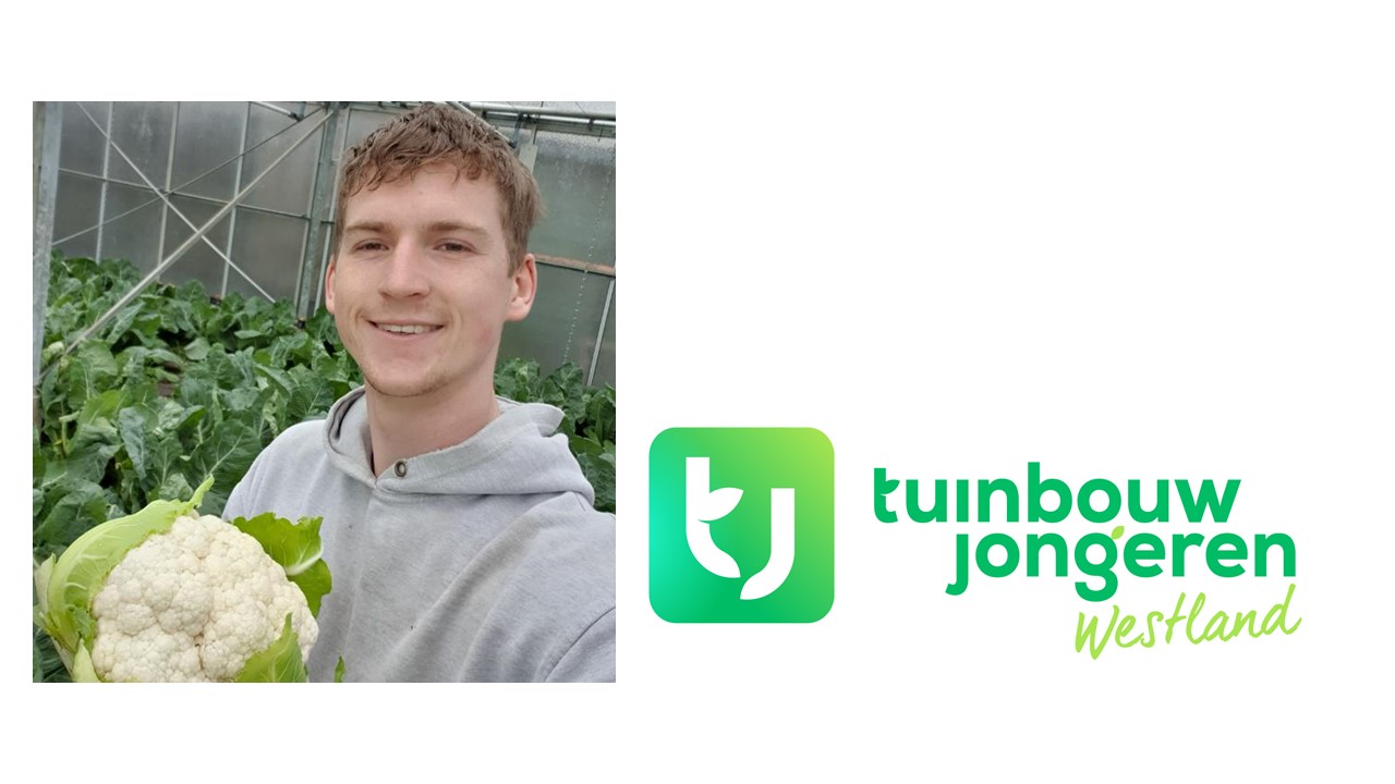 Je bekijkt nu Schouders eronder en gáán