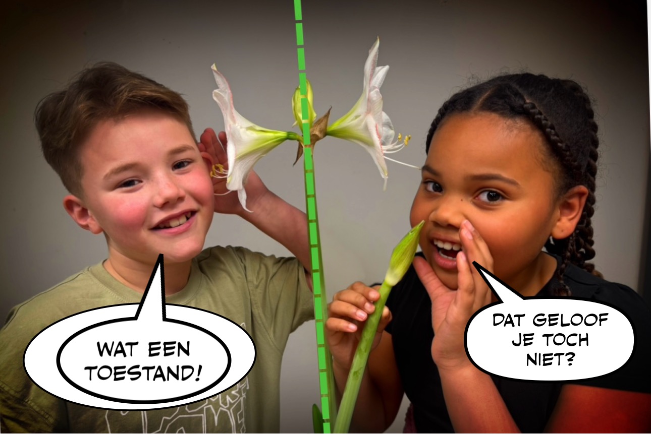 Je bekijkt nu Hofvilla wederom gekozen tot winnaar